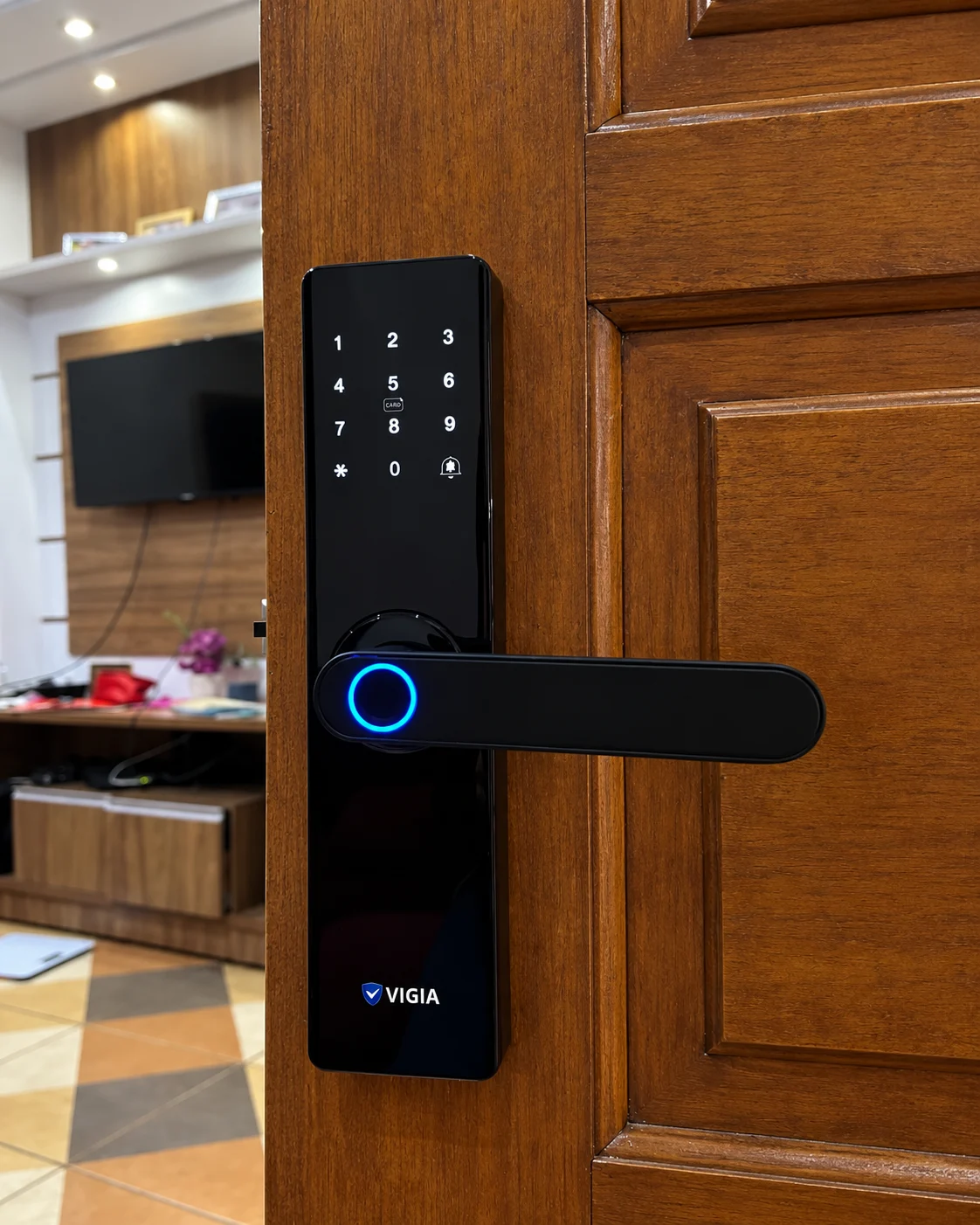 VIGIA instalada en puerta de madera con paneles